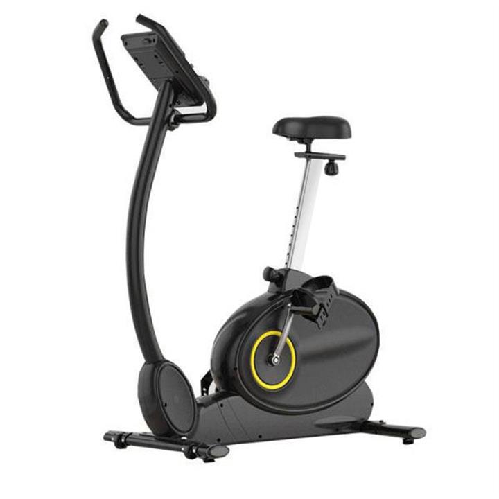 دوچرخه ثابت ایستاده تایگر اسپرت Tigersport TS-1901